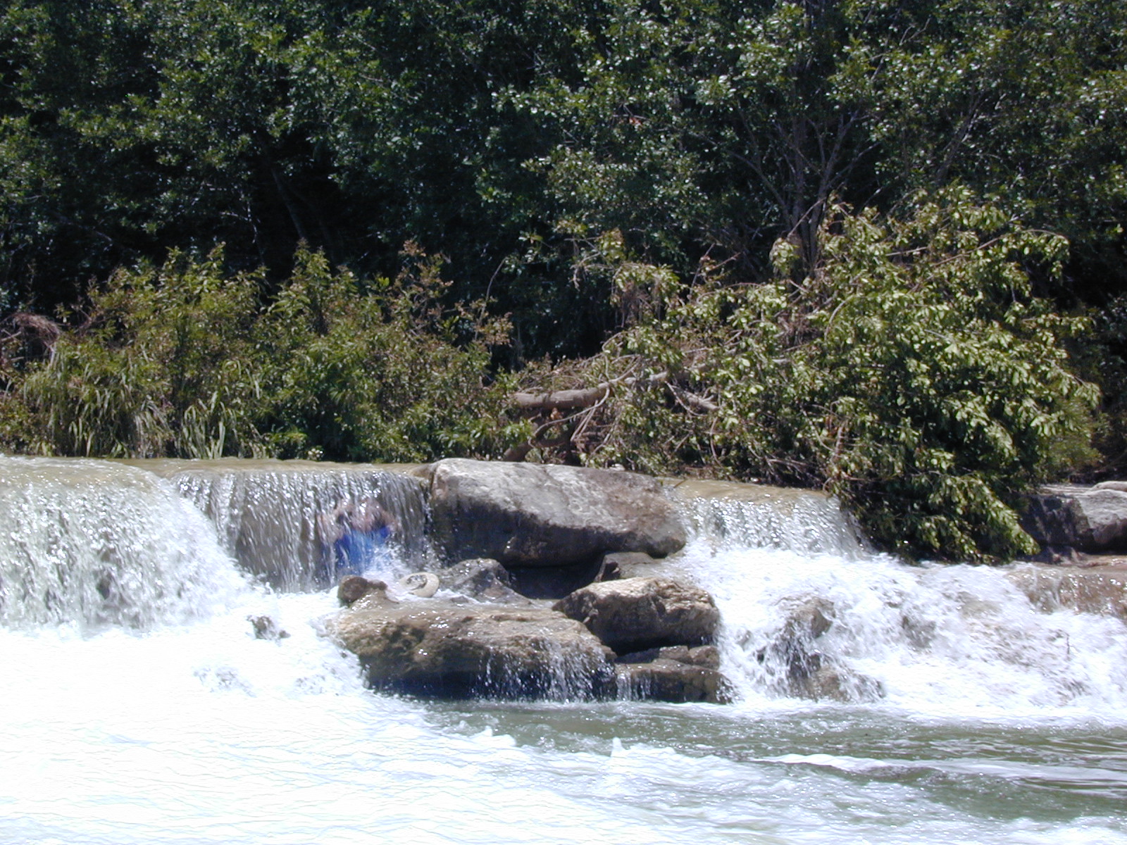 Dscn2487.jpg