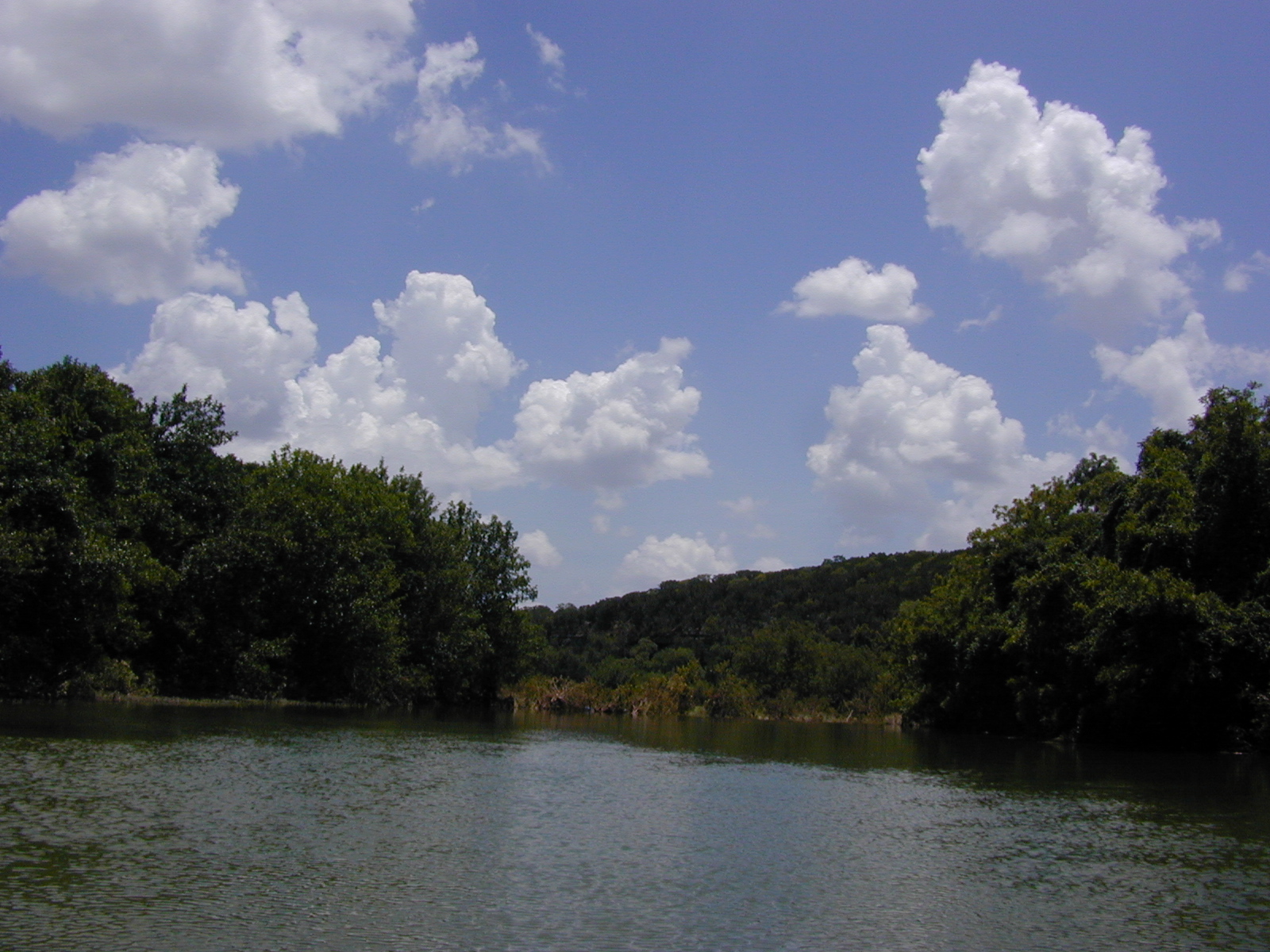 Dscn2479.jpg
