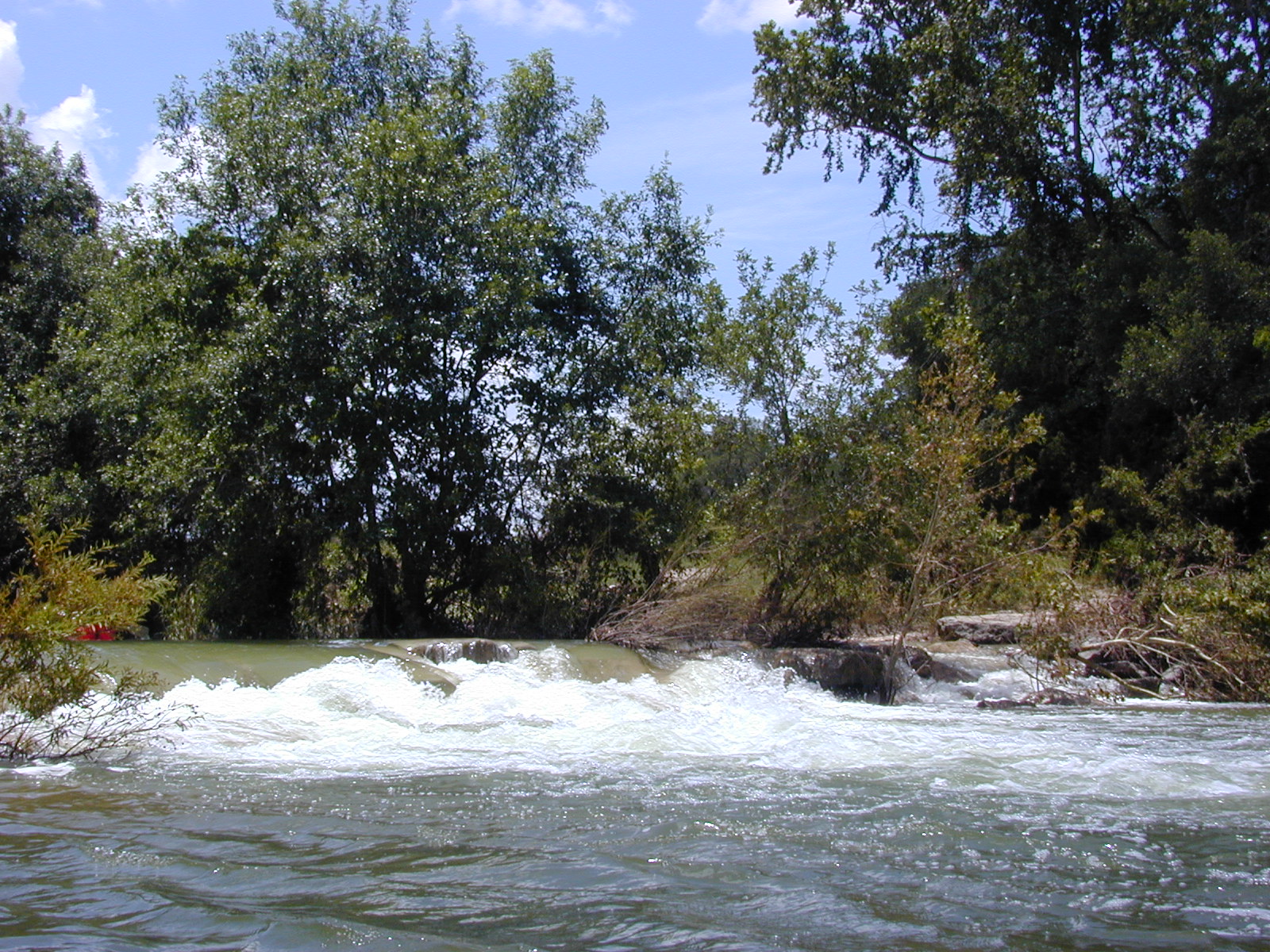 Dscn2490.jpg