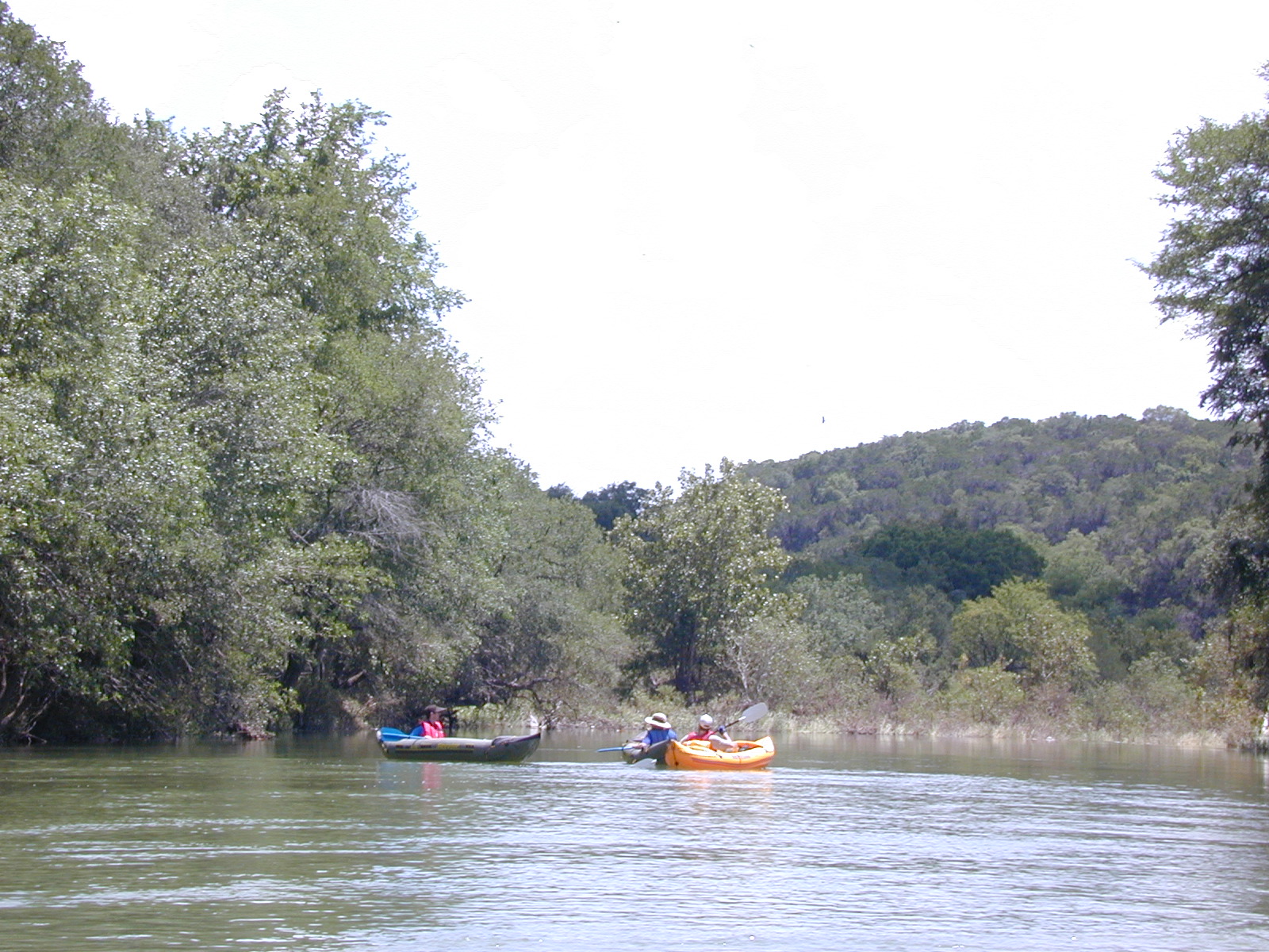 Dscn2493.jpg
